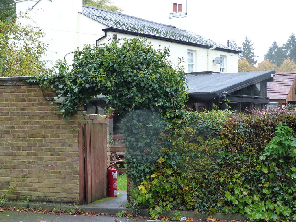 The Sun Inn Englefield Green Extérieur photo